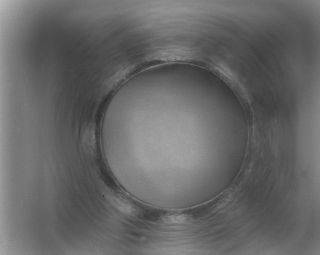 X0000063530202200602032145