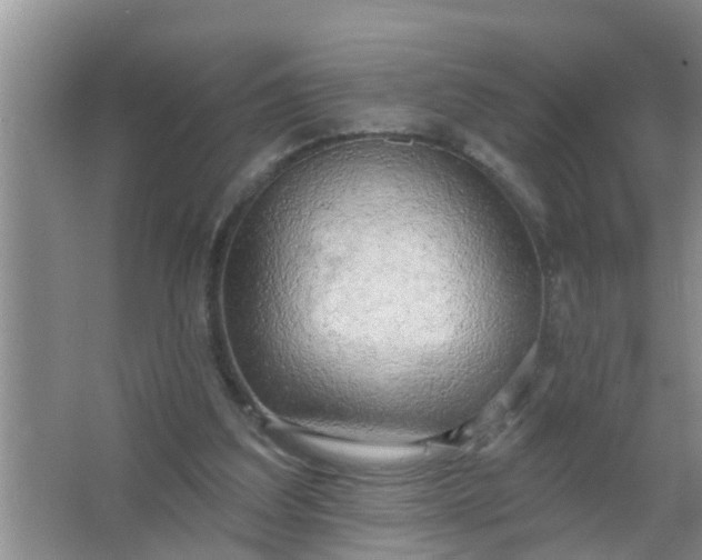 X0000063530203200602032145