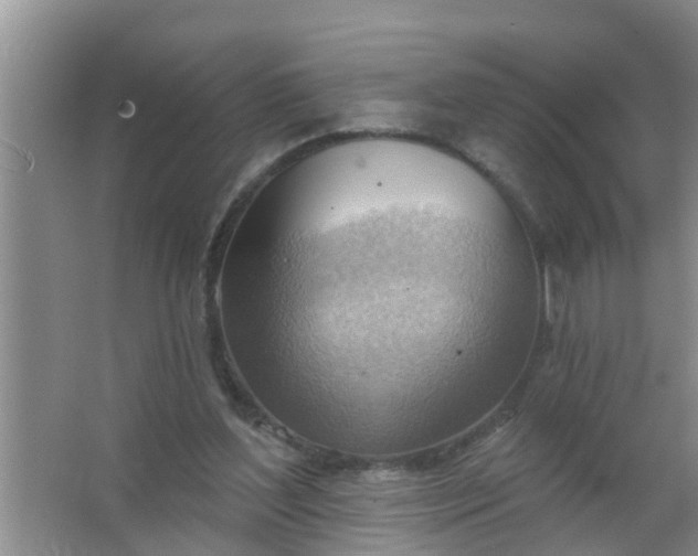 X0000063530204200602032145