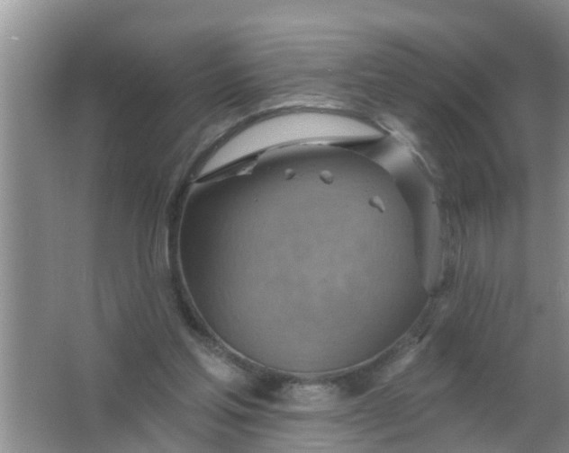 X0000063530205200602032145