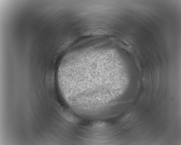 X0000063530206200602032145