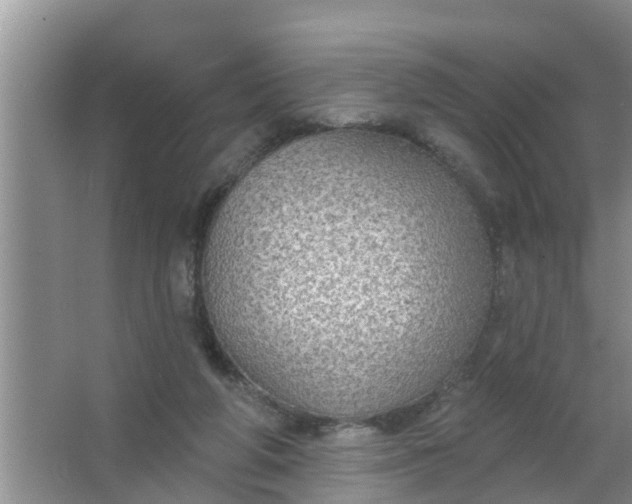 X0000063530210200602032144