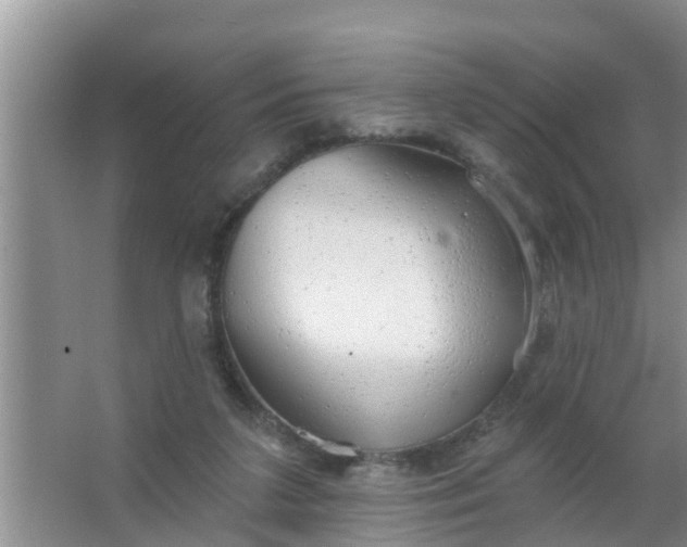 X0000063530211200602032144