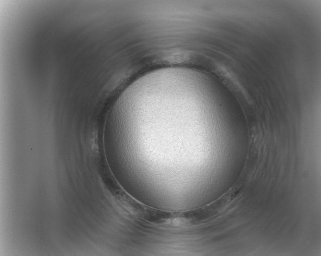 X0000063530212200602032144