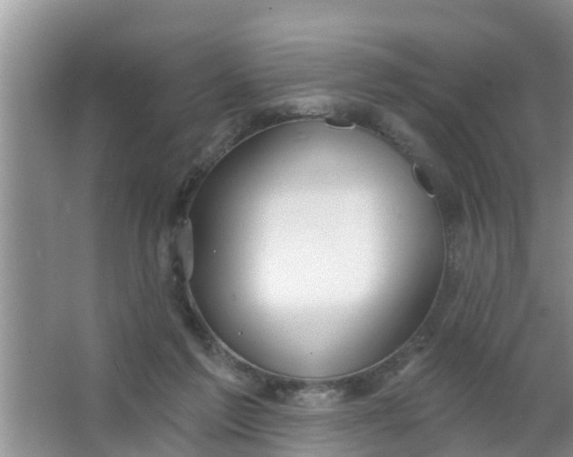 X0000063530213200602032144