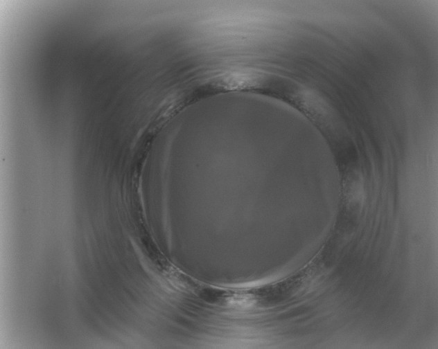 X0000063530214200602032144