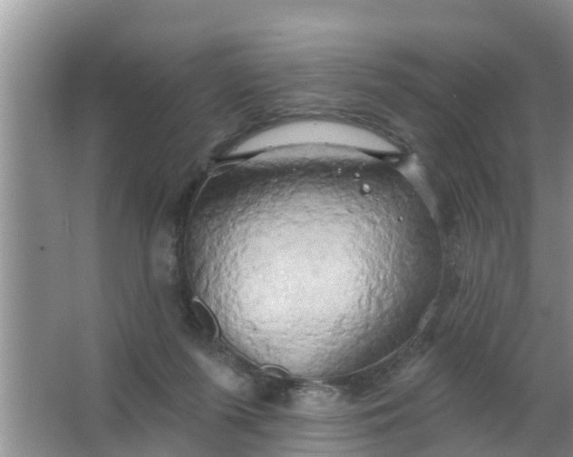 X0000063530215200602032144