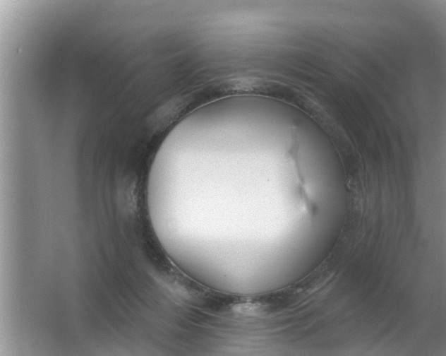 X0000063530216200602032144