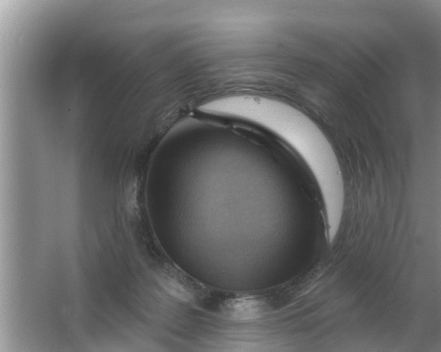 X0000063530219200602032144