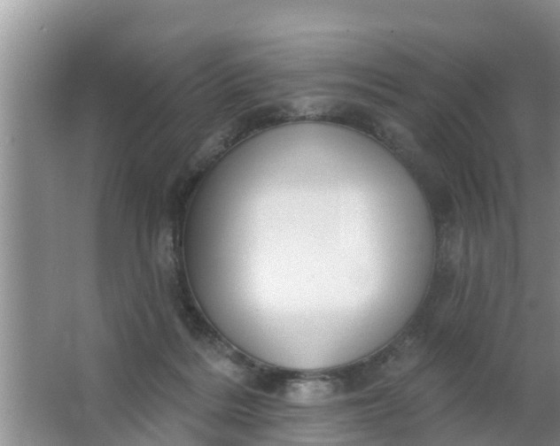 X0000063530220200602032144