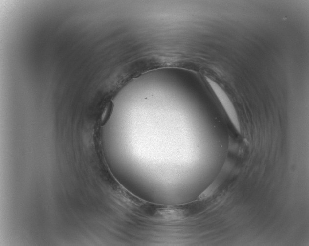 X0000063530221200602032144