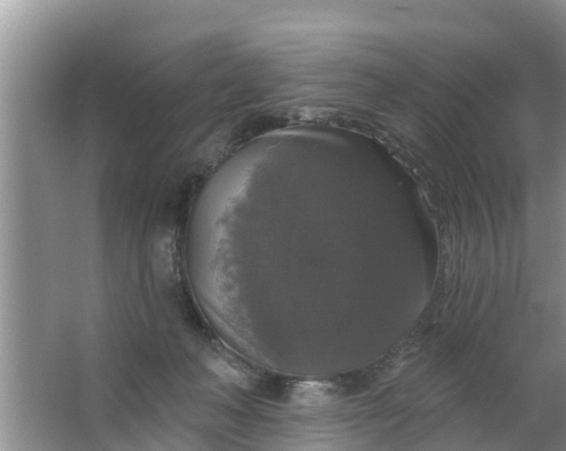 X0000063530222200602032144