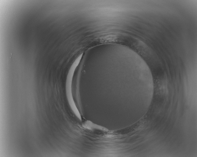 X0000063530224200602032144