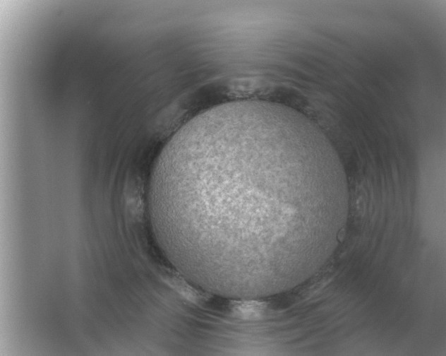 X0000063530226200602032144