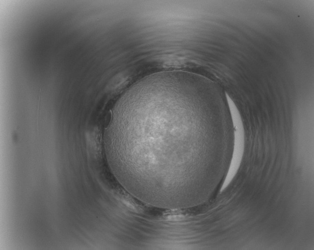 X0000063530228200602032144