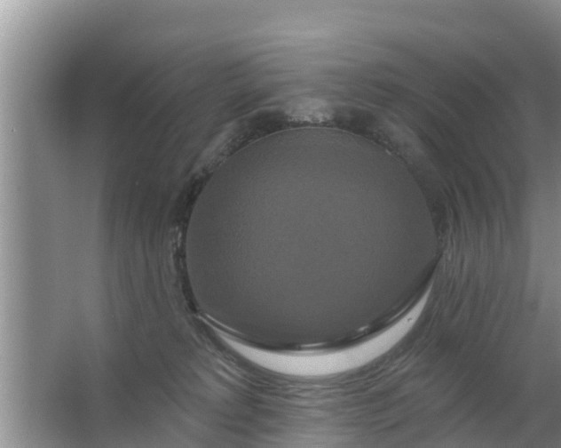 X0000063530229200602032144