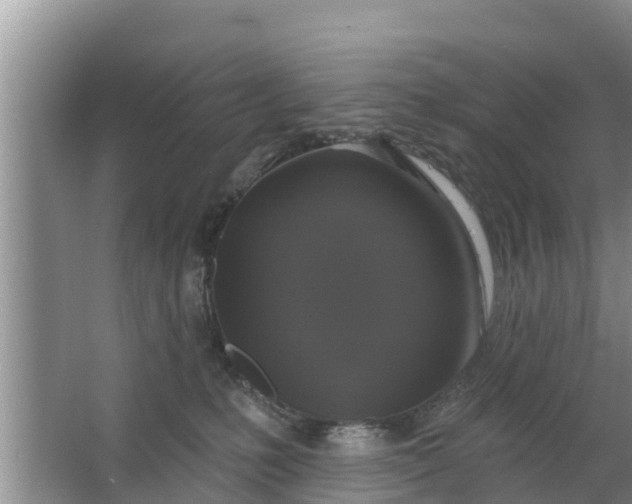 X0000063530231200602032144