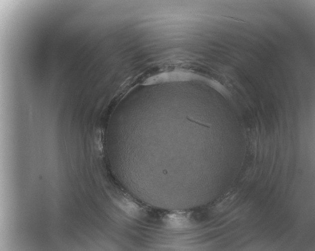 X0000063530232200602032144