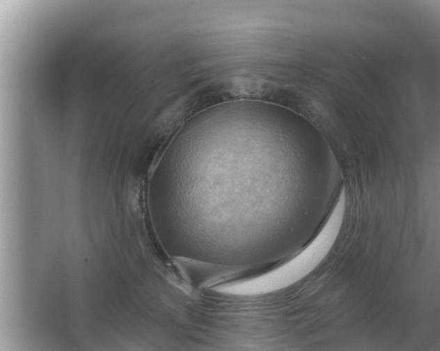 X0000063530233200602032144