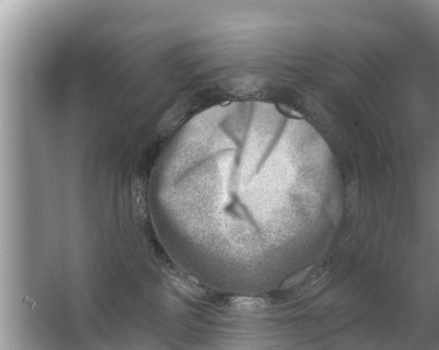 X0000063530234200602032144