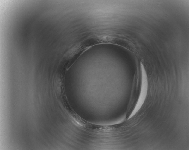 X0000063530235200602032144