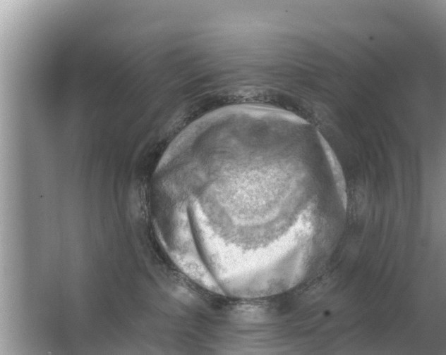 X0000063530236200602032144