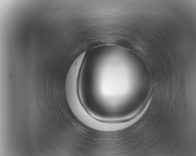 X0000063530237200602032144