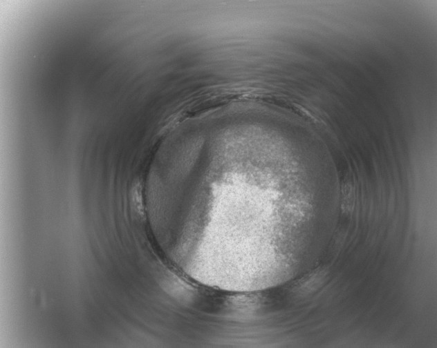 X0000063530238200602032144