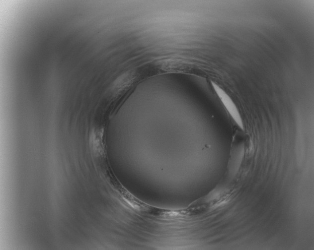 X0000063530239200602032144