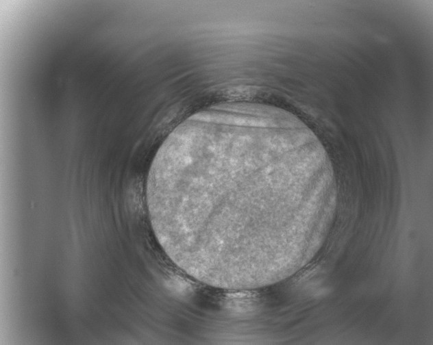 X0000063530240200602032144