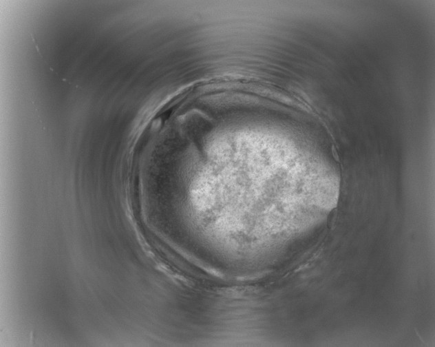 X0000063530241200602032143