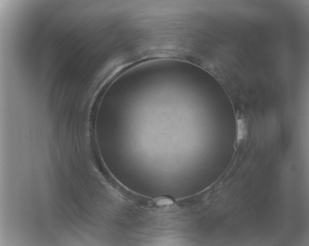 X0000063530243200602032143