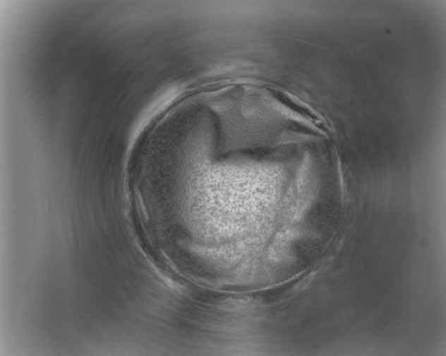 X0000063530245200602032143