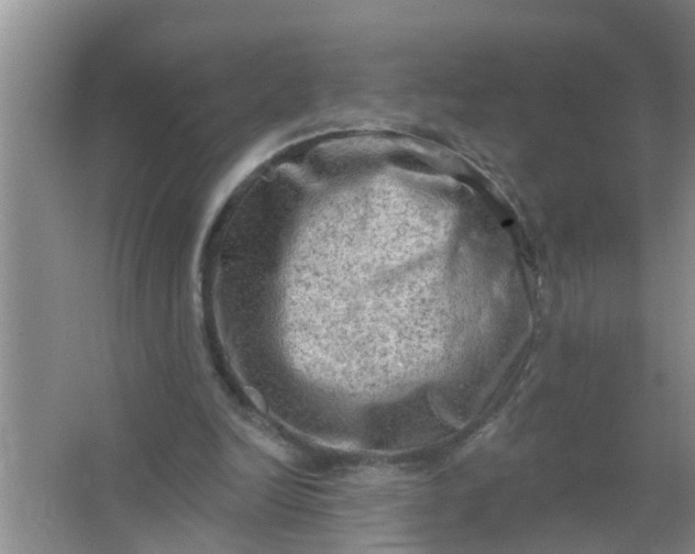 X0000063530246200602032143