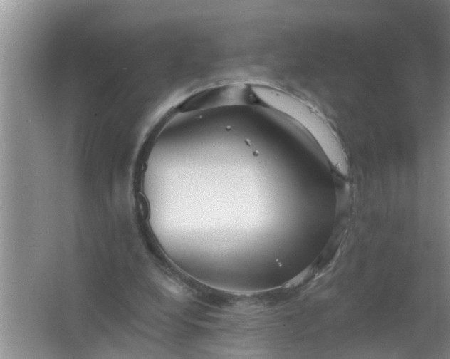 X0000063530248200602032143