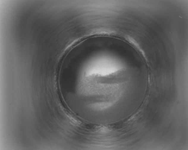 X0000063530249200602032143