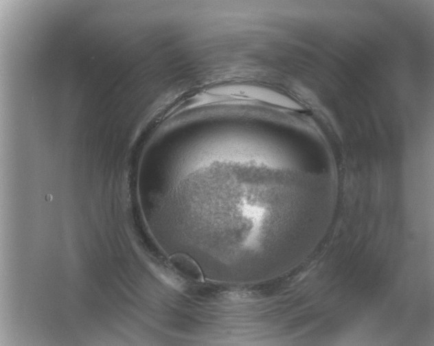 X0000063530250200602032143