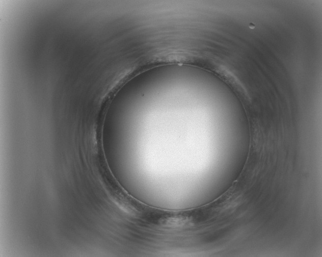 X0000063530251200602032143