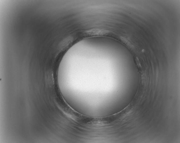 X0000063530254200602032143