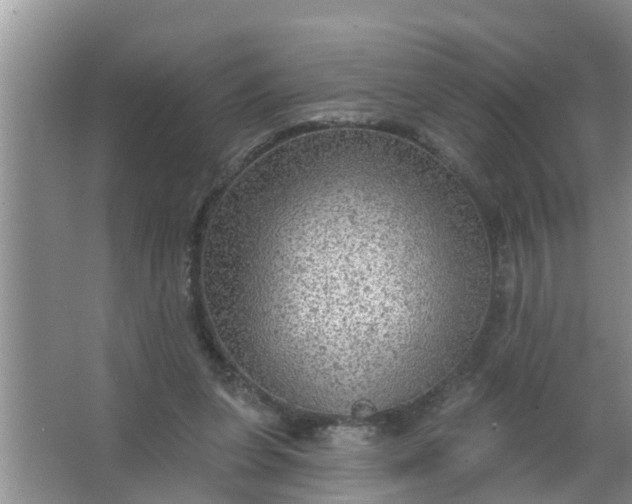 X0000063530255200602032143