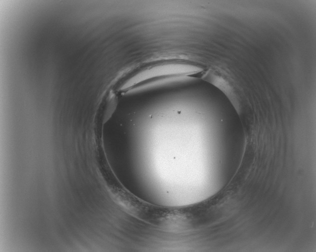 X0000063530256200602032143