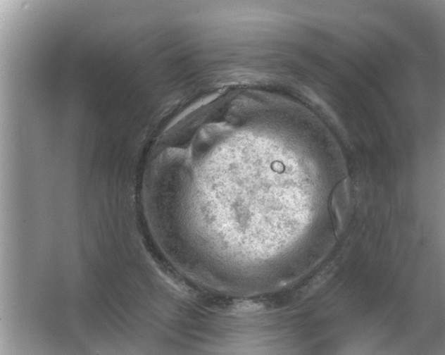 X0000063530257200602032143