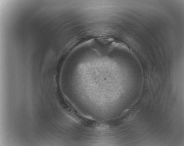 X0000063530258200602032143