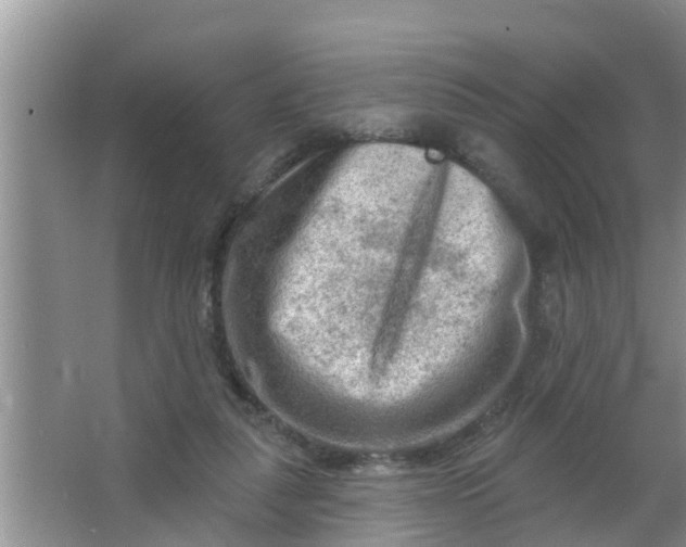 X0000063530259200602032143