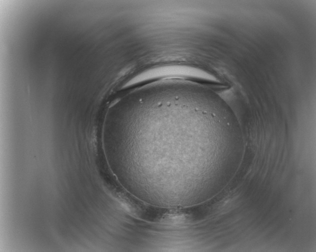 X0000063530260200602032143