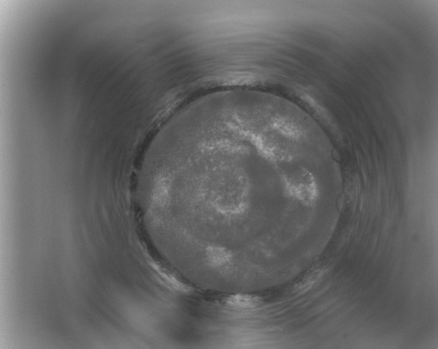 X0000063530261200602032144