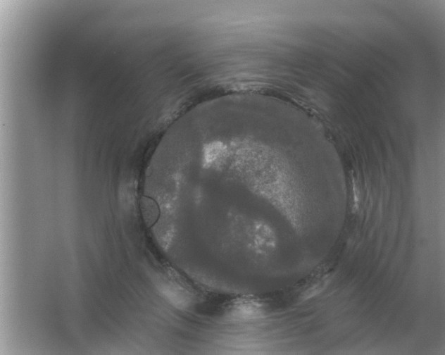 X0000063530263200602032144