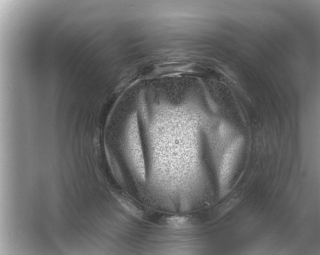 X0000063530265200602032144