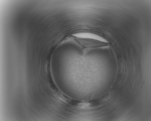 X0000063530266200602032144