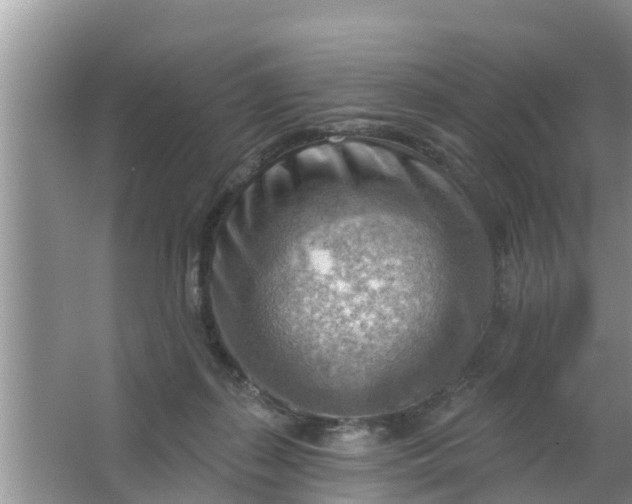 X0000063530267200602032144